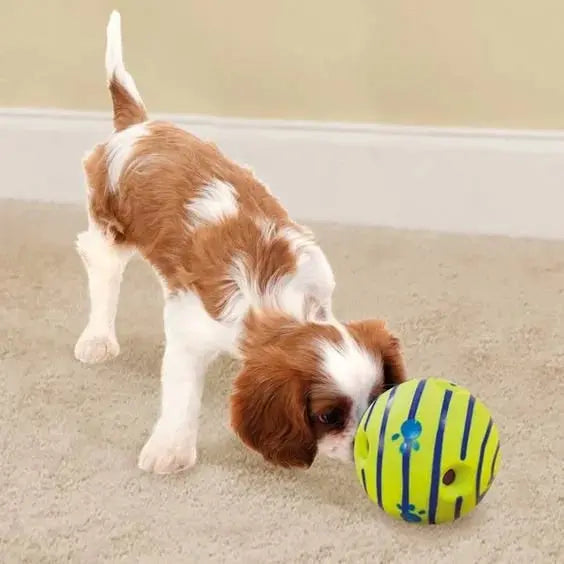 The Wobble Wag My Store