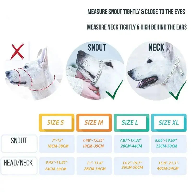 Training Collar My Store