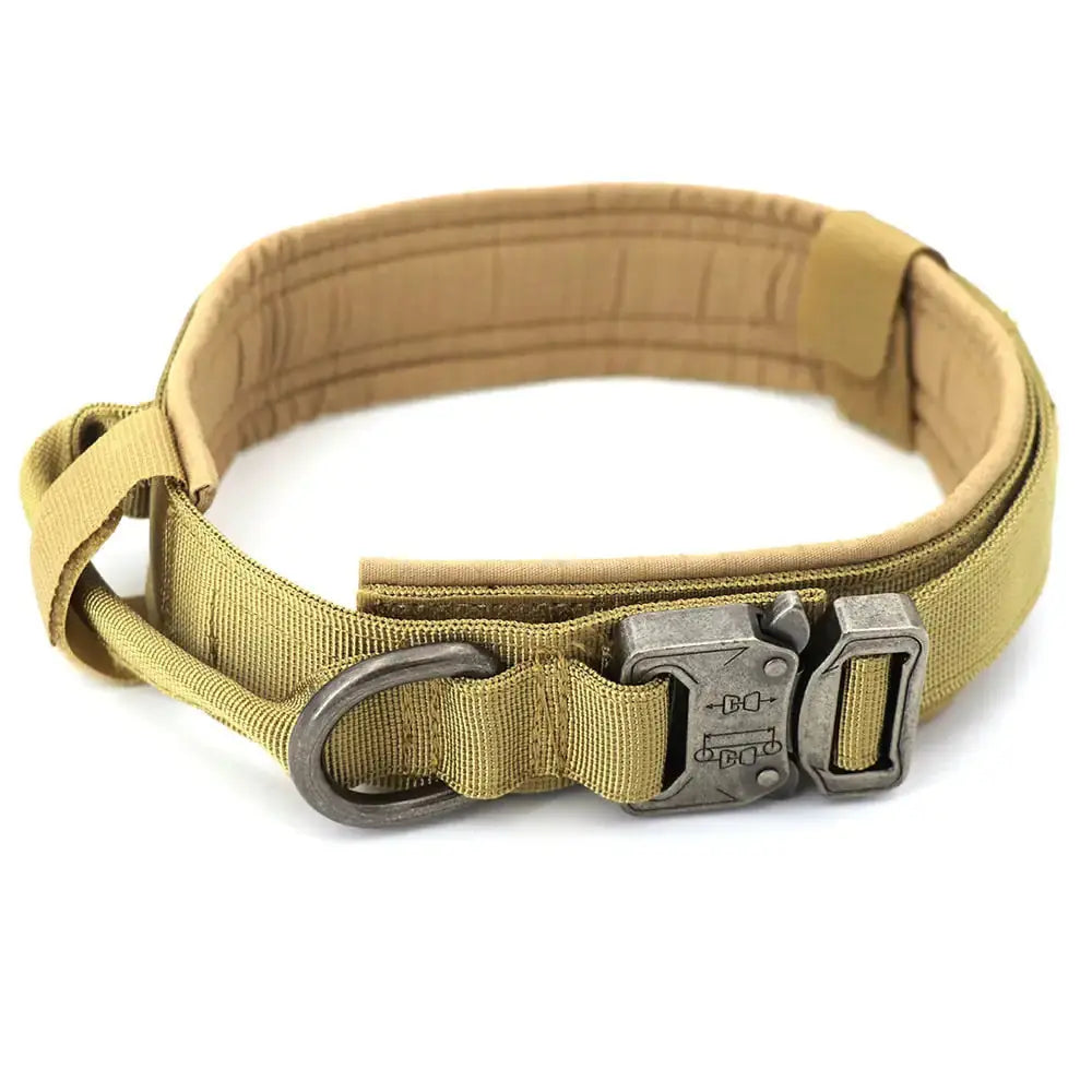 Dog Collar My Store