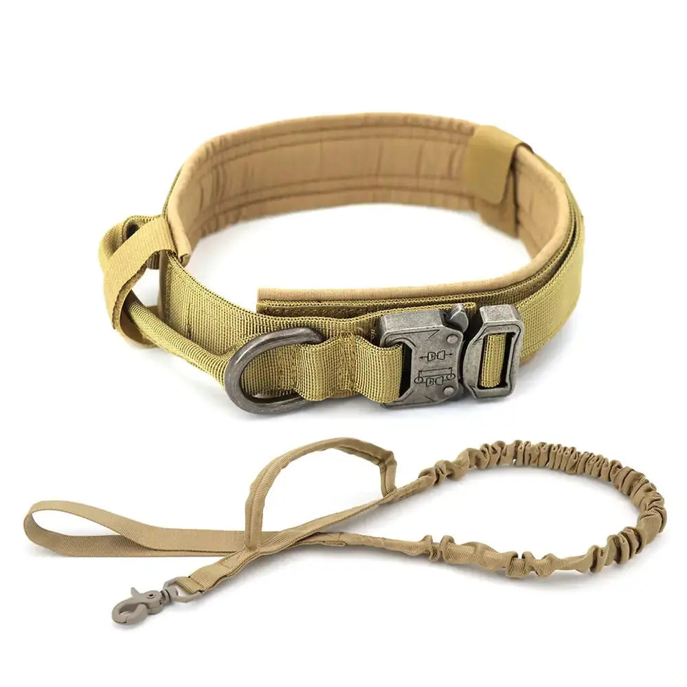 Dog Collar My Store
