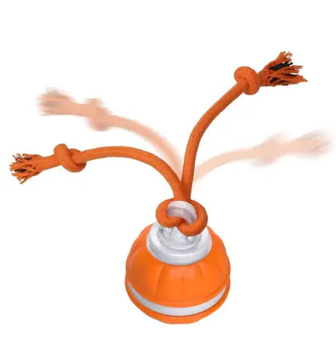 Rolling Dog Ball My Store