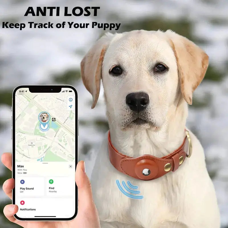 Leather Anti-Lost Dog Collar My Store