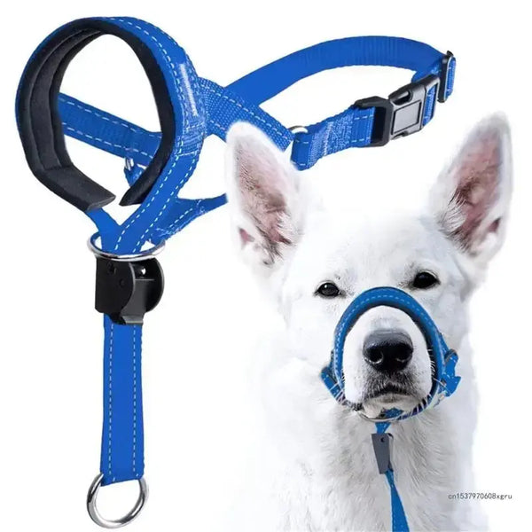 Training Collar My Store