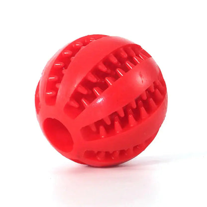 Interactive Toy Balls My Store