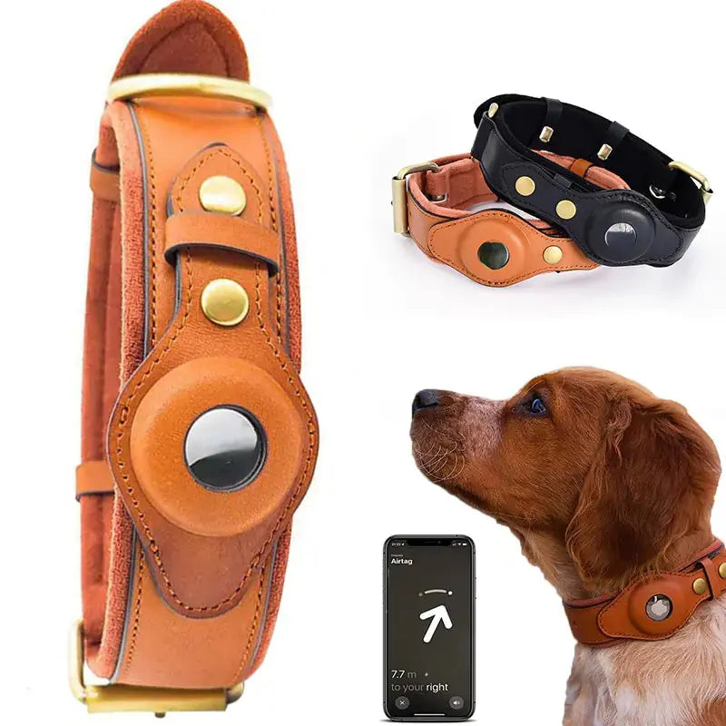 Leather Anti-Lost Dog Collar My Store