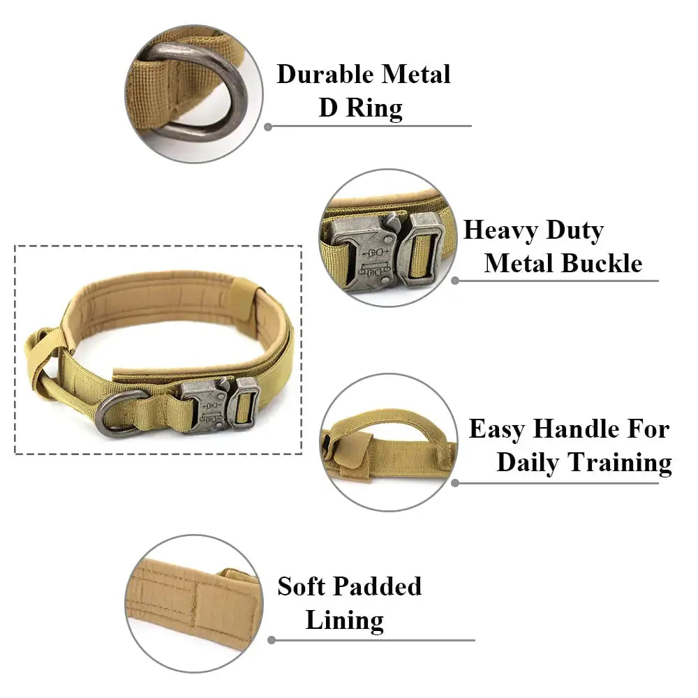 Dog Collar My Store