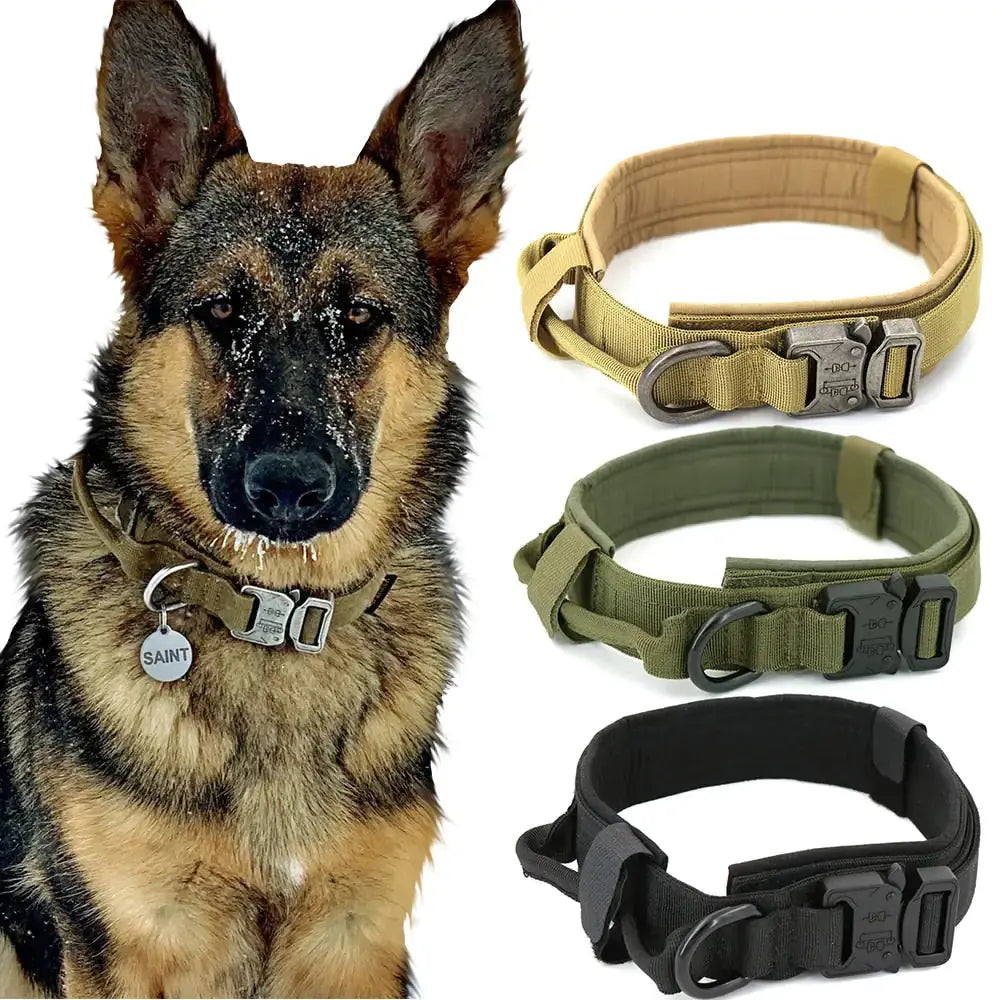 Dog Collar My Store