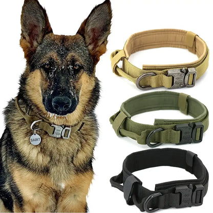 Dog Collar My Store