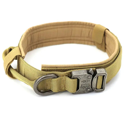 Dog Collar My Store